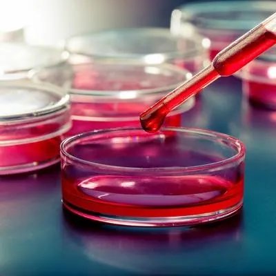 如何治疗彼得潘综合症?