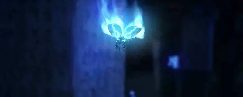 火瓢虫真的存在吗