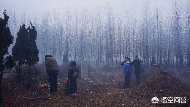 年味该如何理解？