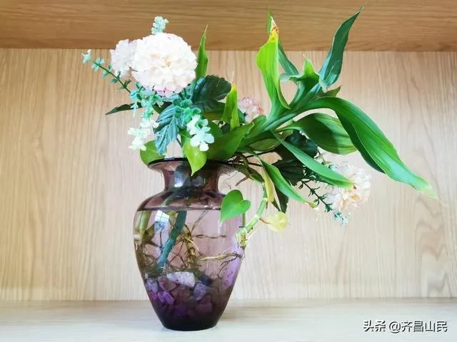 有哪些小清新歌曲推荐?