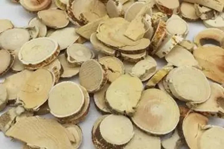 五指毛桃功效作用图片大全大图