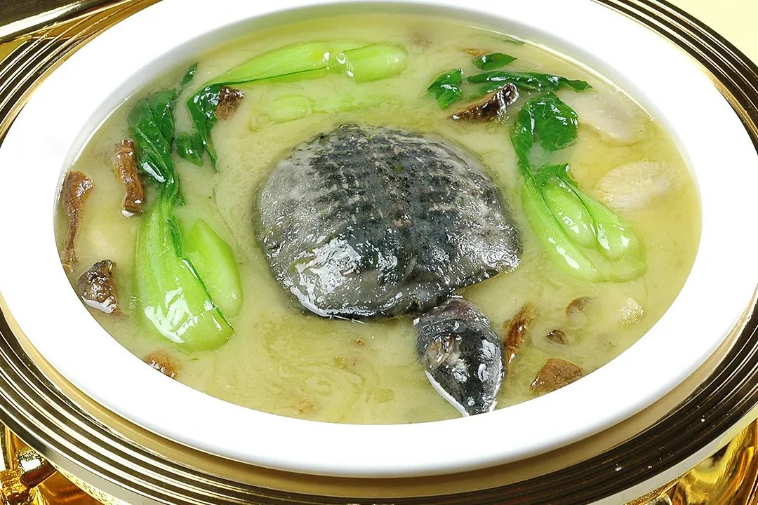 吃甲鱼的功效与作用