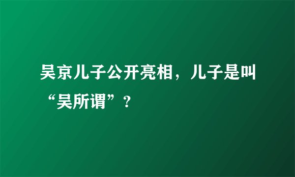 吴京儿子公开亮相，儿子是叫“吴所谓”?