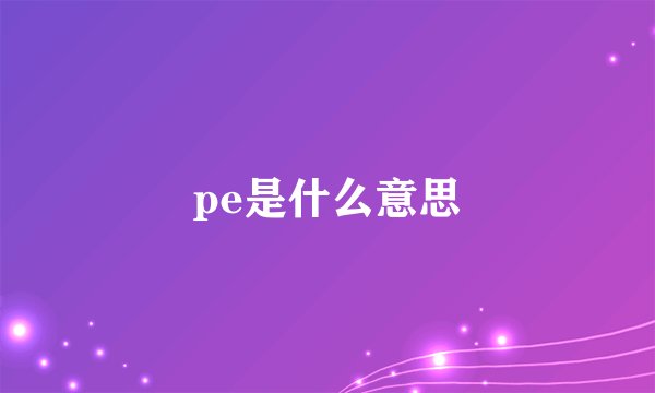 pe是什么意思