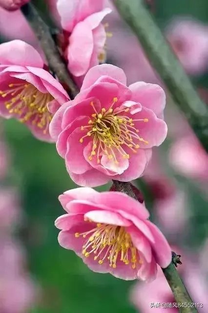 文化创意都是做什么的？