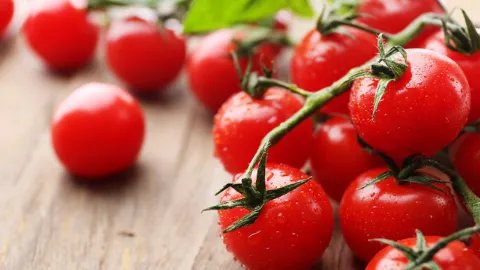 西红柿可以减肥吗