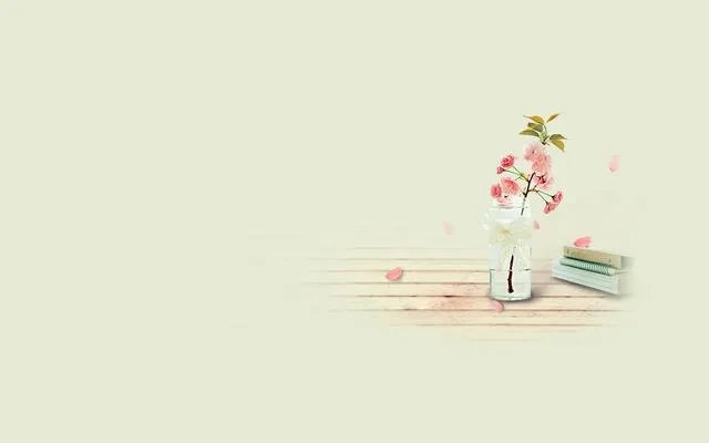 有哪些小清新歌曲推荐?