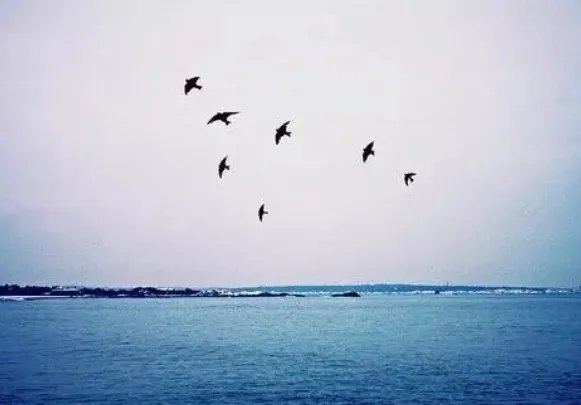 七月的风，八月的雨是什么歌