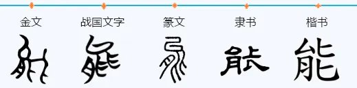 能的拼音怎么写