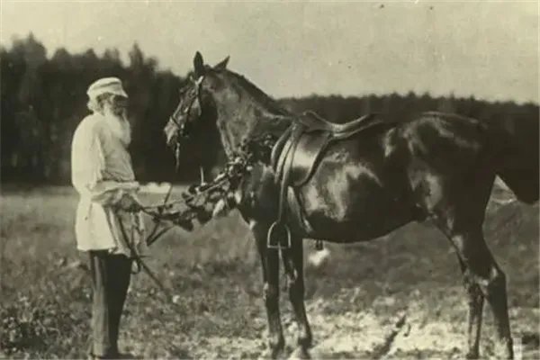 跳水的作者是谁:列夫·尼古拉耶维奇·托尔斯泰(俄国作家)