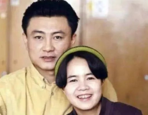 王宁和刘纯燕是怎么认识的,王宁和刘纯燕多大年纪