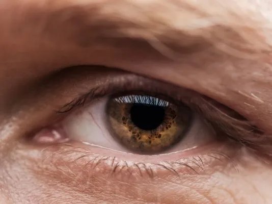 叶黄素的作用是什么