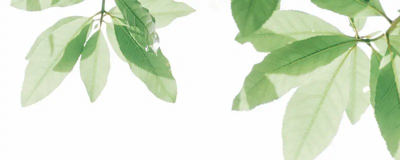 适合双子座的网名 双子座独一无二的网名大全