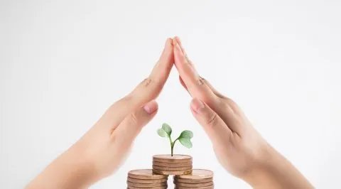 非上市公众公司是什么意思