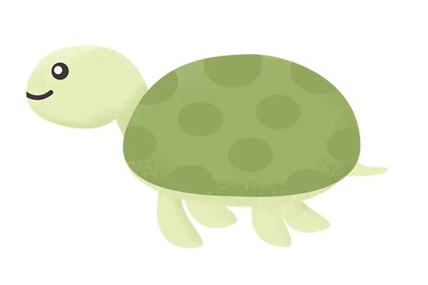 乌龟蛋的功效与作用