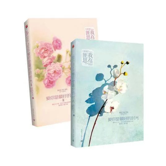 爱你是最好的时光TXT全文下载