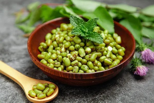 驴肉不能和什么一起吃