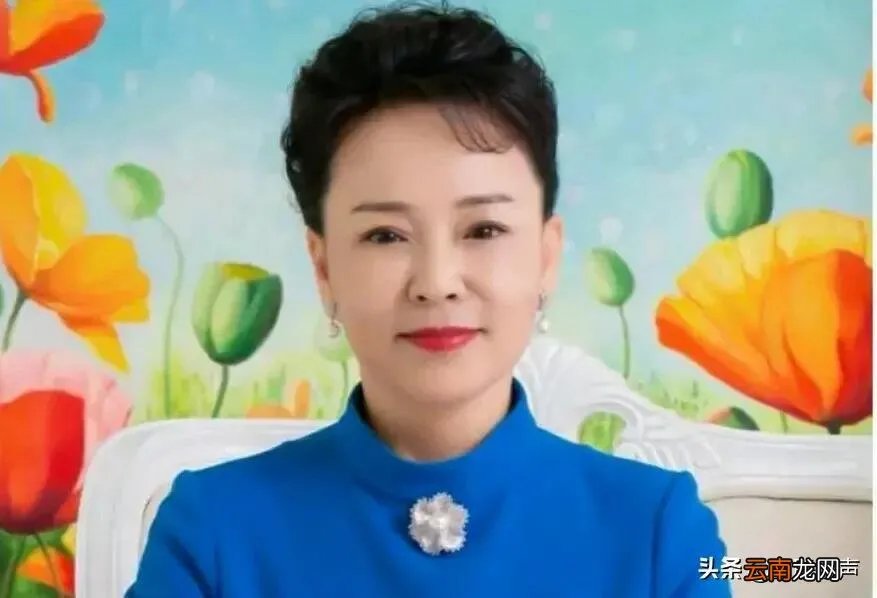 蓝海集团安英的婚史 蓝海集团董事长与安英什么关系