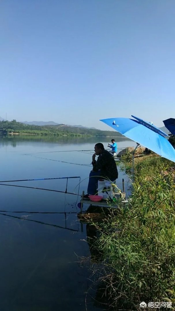 开个渔具店怎么样？