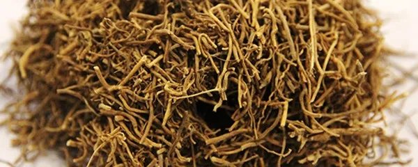 小茴香功效与作用