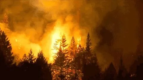 澳大利亚大火今天怎样？