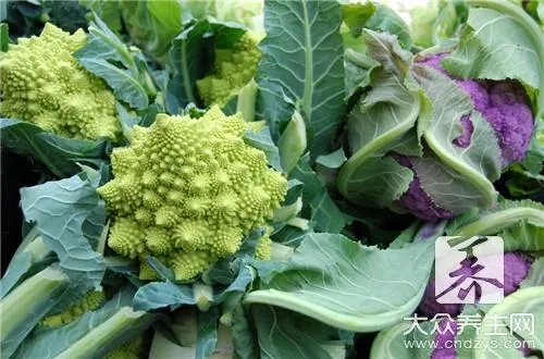 原花青素的作用有哪些