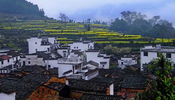 浙d是哪里的车牌 浙d是哪里的车牌号码