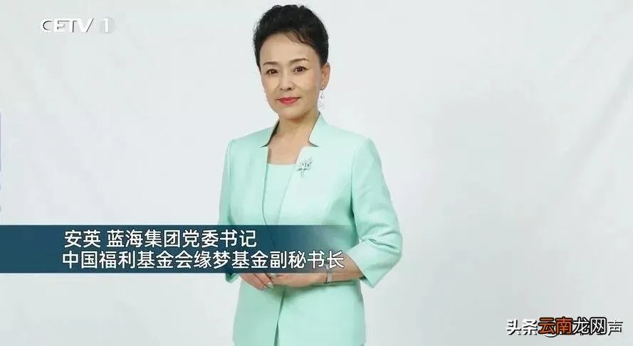 蓝海集团安英的婚史 蓝海集团董事长与安英什么关系