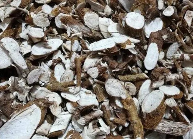 苦参的功效与作用