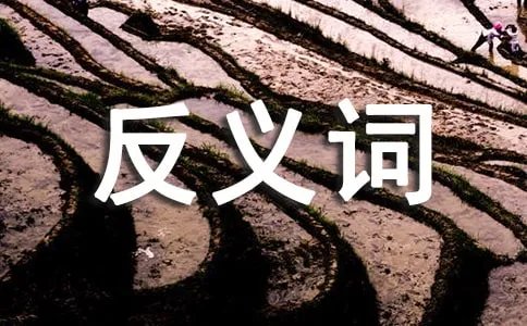 关心的反义词是什么