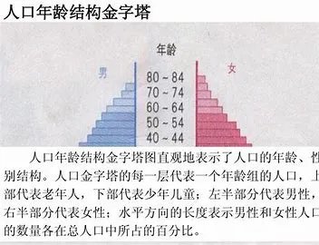 年龄结构