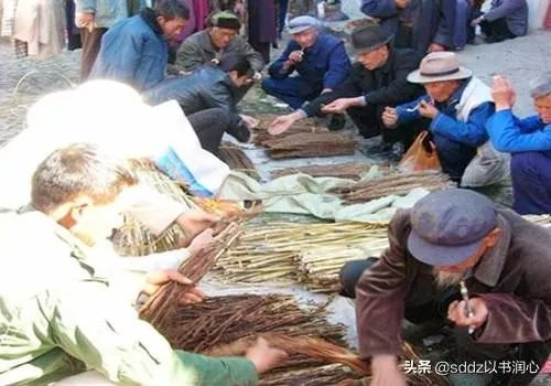 山东大集有意思吗？