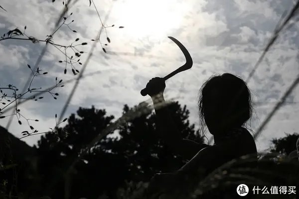 20部豆瓣高分爽片，全程高能，多图预警，从头到尾看到爽！（附在线观看地址）