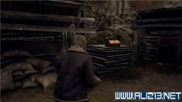 《生化危机4重制版》全章节攻略图文流程详解 全支线全物品收集攻略