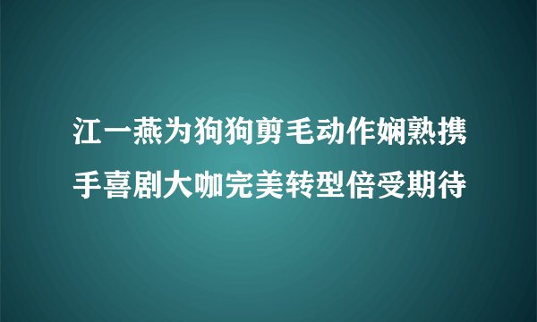 江一燕为狗狗剪毛动作娴熟携手喜剧大咖完美转型倍受期待