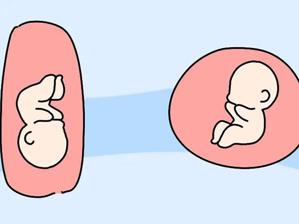 2021清宫表生男生女图准确性是多少？