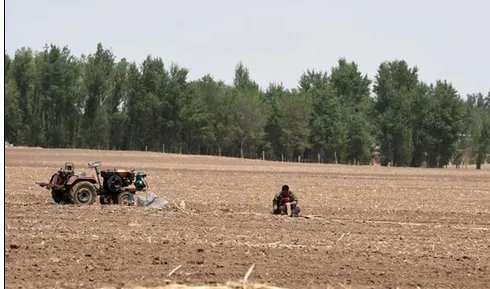 辽宁干旱农田缺墒是怎么回事？