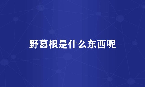 野葛根是什么东西呢