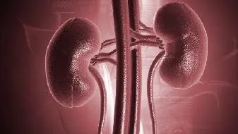 肾阴虚的症状有哪些?