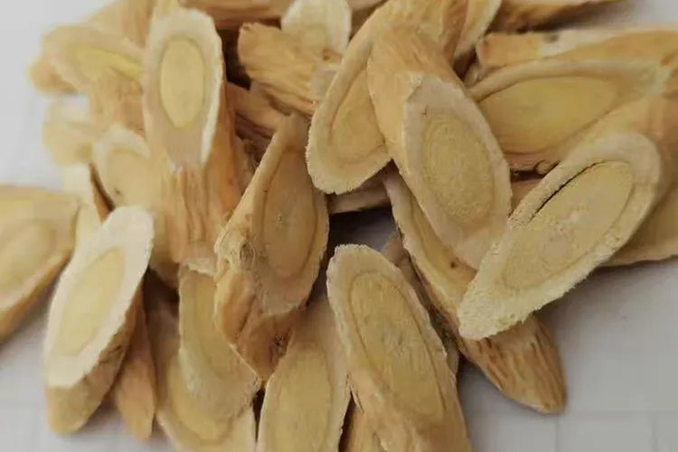 黄芪的种类和图片大全