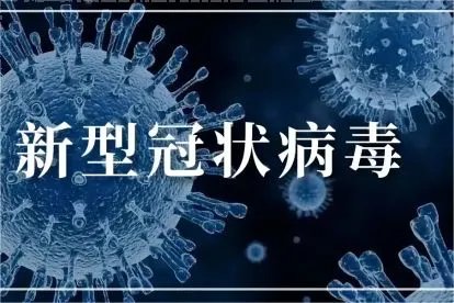 新冠开始于什么时候