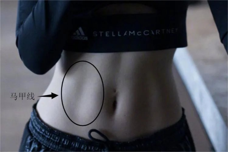 马甲线在哪个位置图解