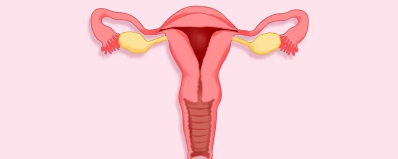 宫颈癌是什么原因引起的