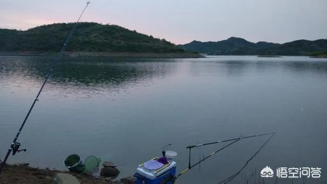 开个渔具店怎么样？