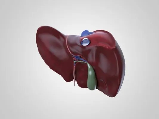 阿米巴肝脓肿是什么