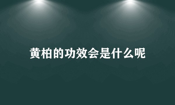黄柏的功效会是什么呢