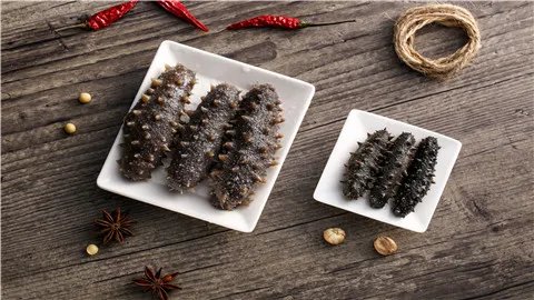 海参的营养价值和功效