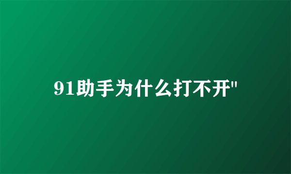 91助手为什么打不开