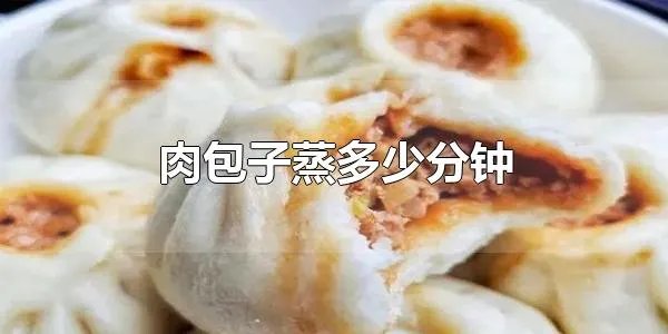 肉包子蒸多少分钟 肉包子一般蒸15-25分钟