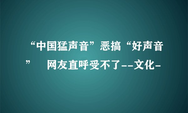 “中国猛声音”恶搞“好声音” 网友直呼受不了--文化-